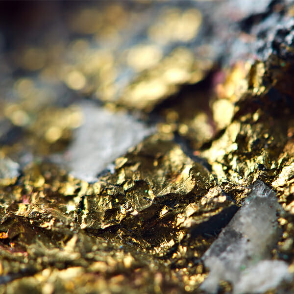 solution-gold-cip